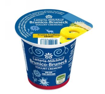YOGURT INTERO ANANAS