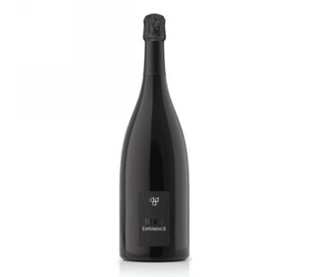 VINO PROSECCO MAGNUM EXPER.VALDOBB. DOCG