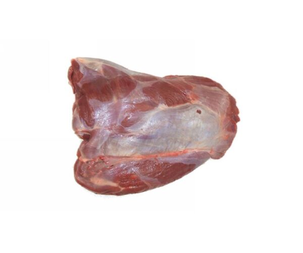 SPALLA DI CERVO  S/O UNGHERIA 2231059