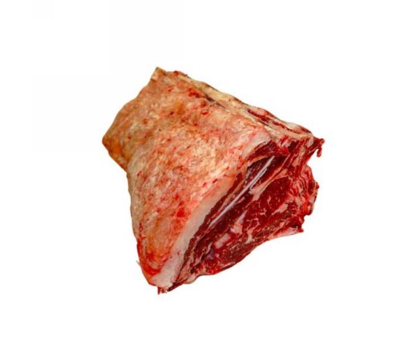 TRONCHETTO C/COPERTINA DK