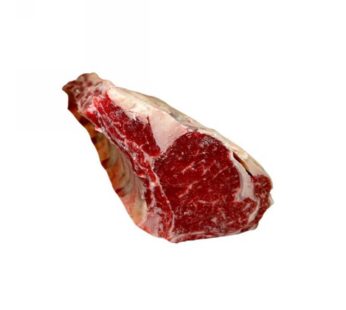 TRONCHETTO S/COPERTINA DK
