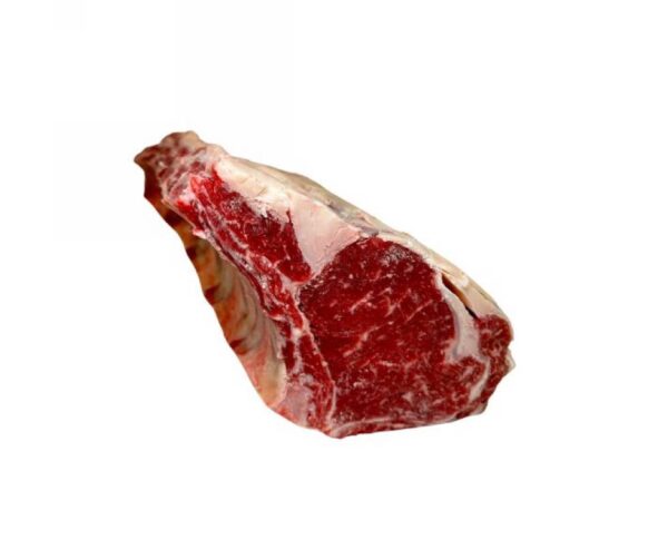 TRONCHETTO S/COPERTINA DK