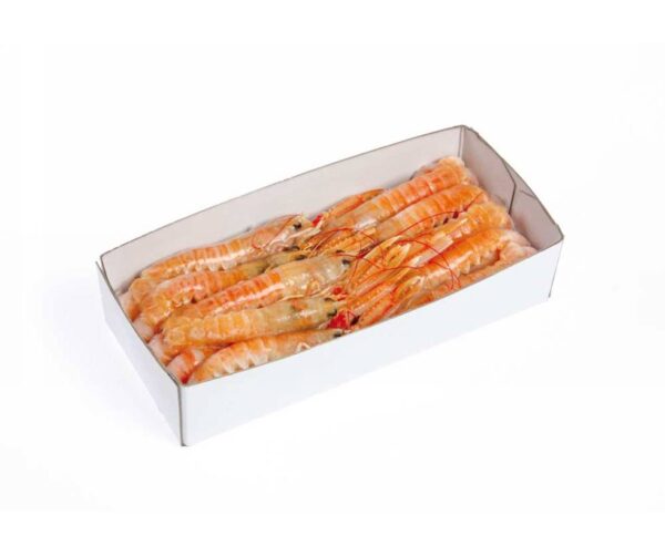 SCAMPO 17/20PZ/KG                     DK