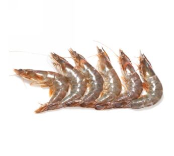 MAZZANCOLLA 20/30 PZ/KG          ECUADOR
