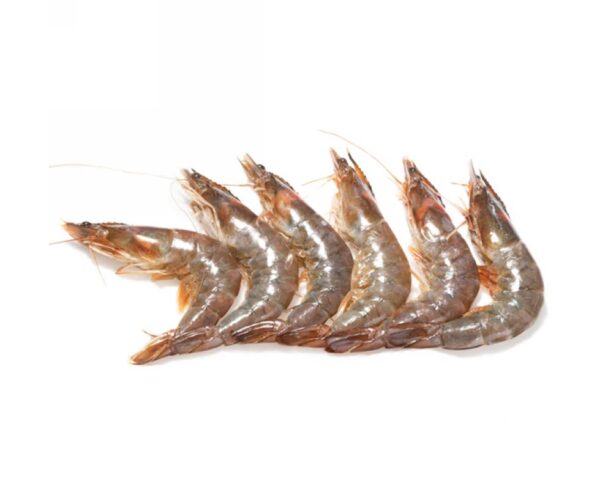 MAZZANCOLLA 20/30 PZ/KG          ECUADOR